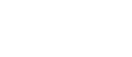 Black Box Analog Design